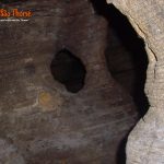 Gruta do Labirinto Sobradinho São Thomé das Letras